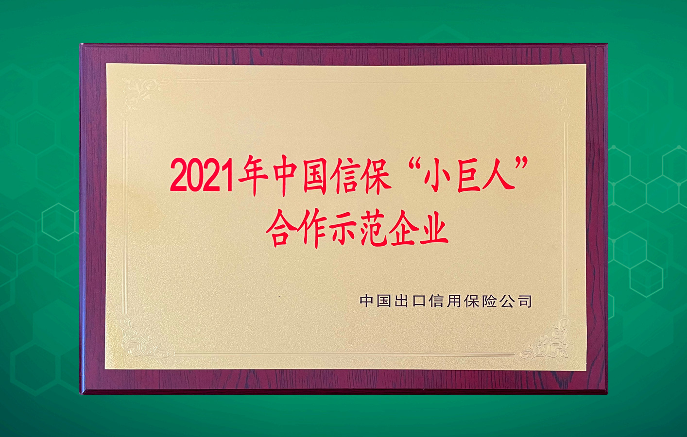 楊帆遠航走向世界！華聯(lián)領世榮獲中國信?！靶【奕恕焙献魇痉镀髽I(yè)！